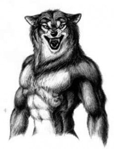 Gain Muscle! Werewolf Training: A Weightlifting Routine to Gain Muscle ...