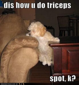 cute puppy dips - dis how u do triceps?