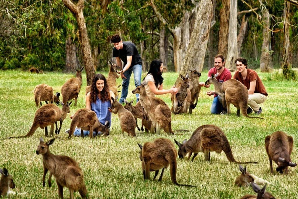 Australian wildlife encounters can end in a visit to the local injury clinic if you're not careful. 